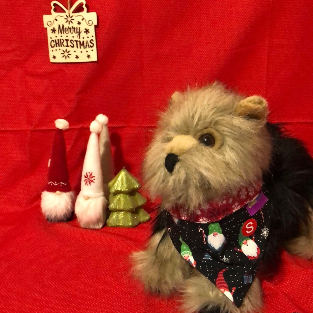 Pet bandannas